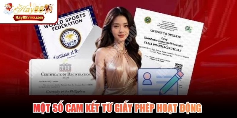 Một số cam kết từ giấy phép hoạt động cung cấp cho hệ thống 