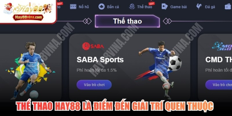 Thể thao HAY88 là điểm đến giải trí quen thuộc của nhiều khách hàng