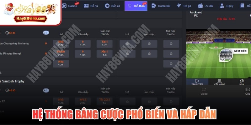 Hệ thống bảng cược phổ biến và hấp dẫn tại sảnh Thể thao nhà cái HAY88