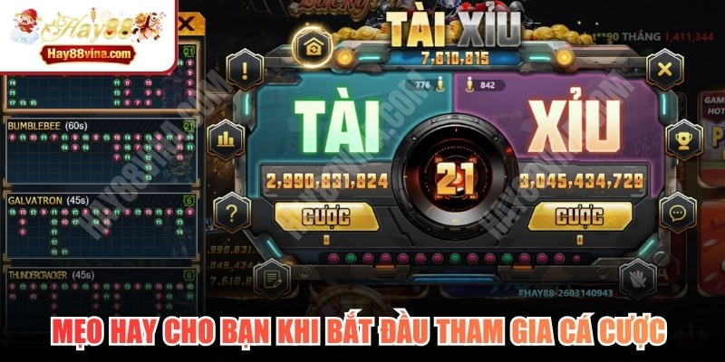 Mẹo hay cho bạn khi bắt đầu tham gia cá cược trực tuyến